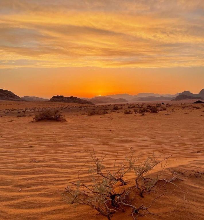 Wadi Rum Nature Dış mekan fotoğraf