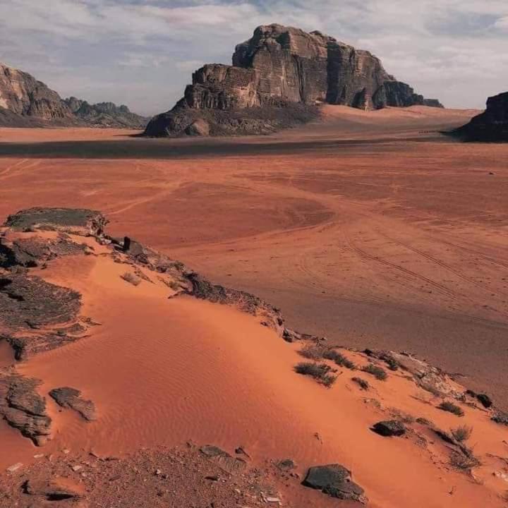 Wadi Rum Nature Dış mekan fotoğraf
