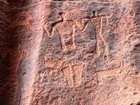 Wadi Rum Nature Dış mekan fotoğraf